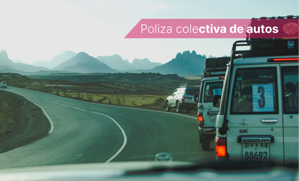 Poliza colectiva de autos