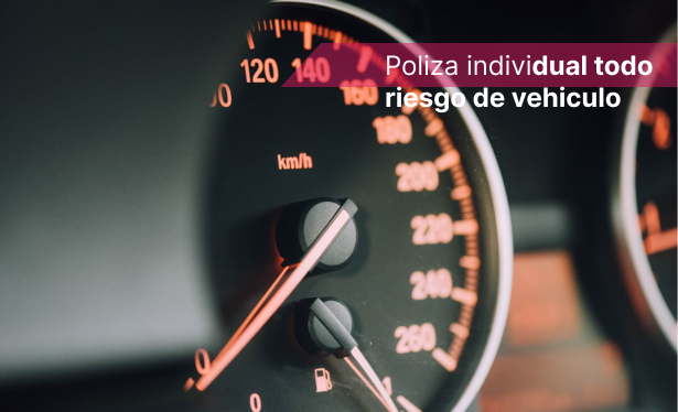 Poliza individual todo riesgo de autos