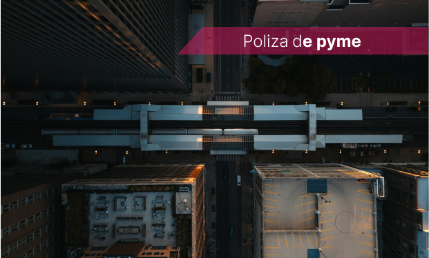 Poliza de pyme